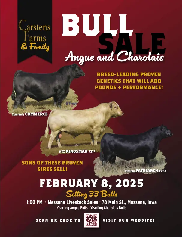Click to access the catalog for the Carstens Farms Angus and Charolais bull and female sale.