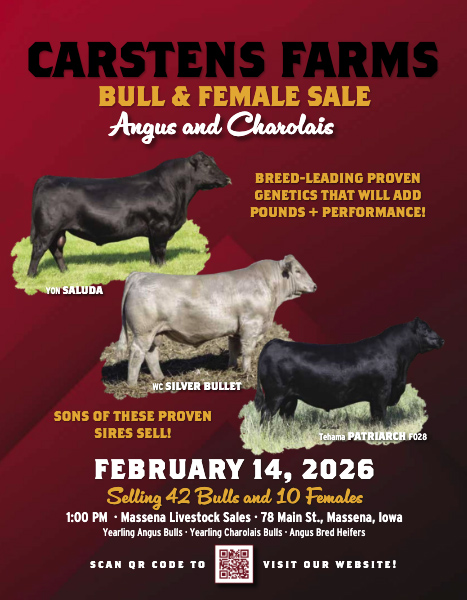 Click to access the catalog for the Carstens Farms Angus and Charolais bull and female sale.
